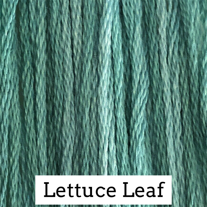 Lettuce Leaf 020
