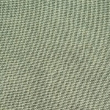 Kudzu - 32 Hand Dyed Linen - Weeks Dye Works