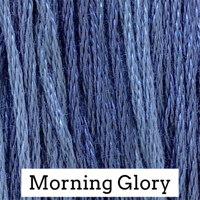 Morning Glory 206
