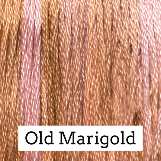 Old Marigold 085