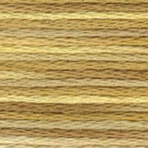 4072 Toasted Almond - Color Variations Floss