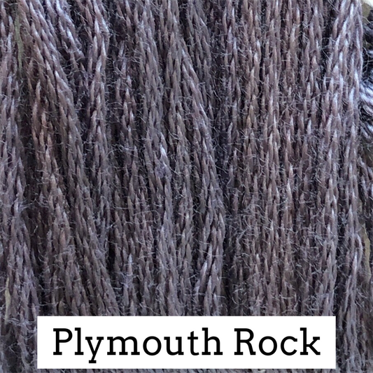 Plymouth Rock 163