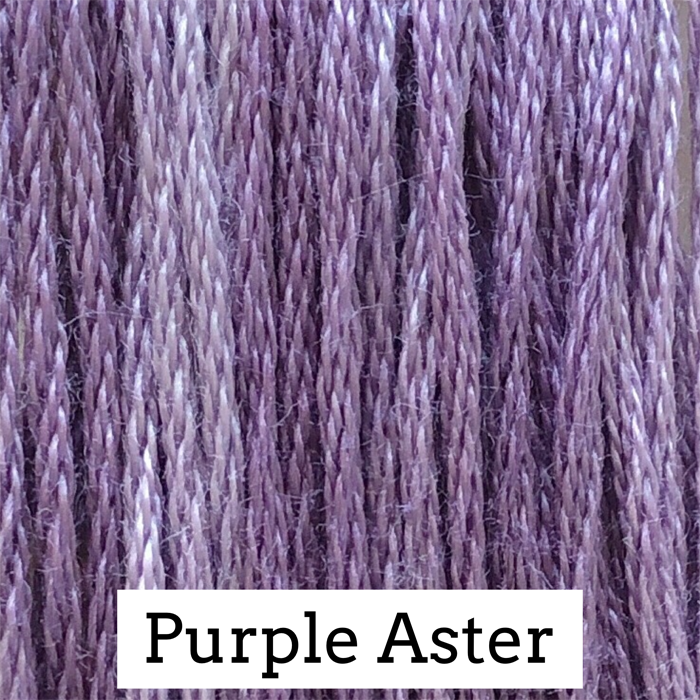 Purple Aster 070
