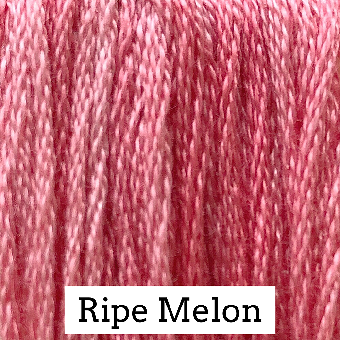 Ripe Melon 026