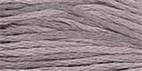 Catmint 1312