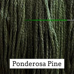 Ponderosa Pine 283