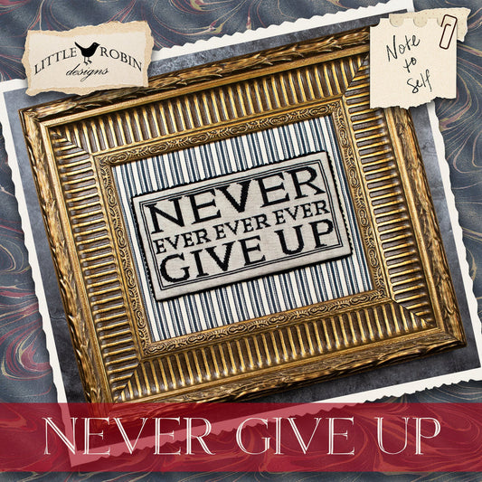 Never Give Up