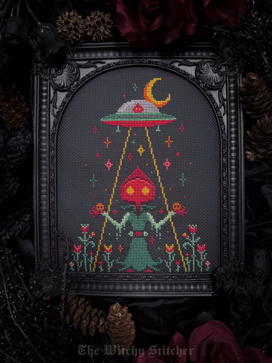 Take Me Home Flatwoods Monster