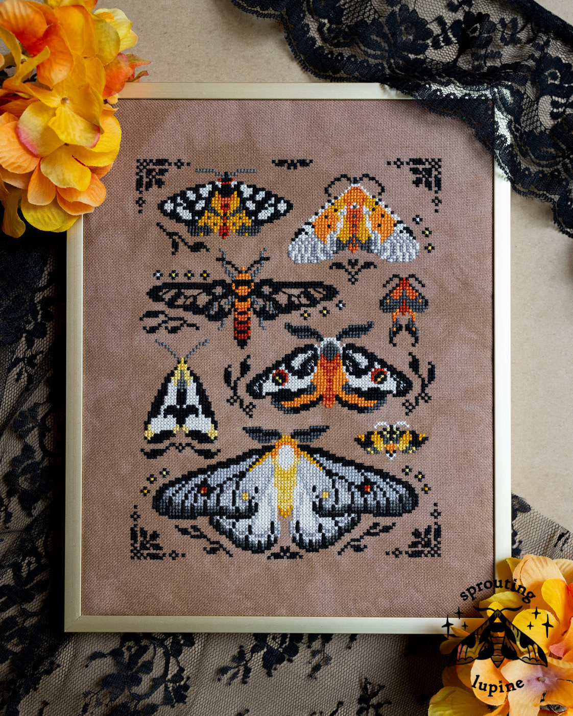 Ochre Wings