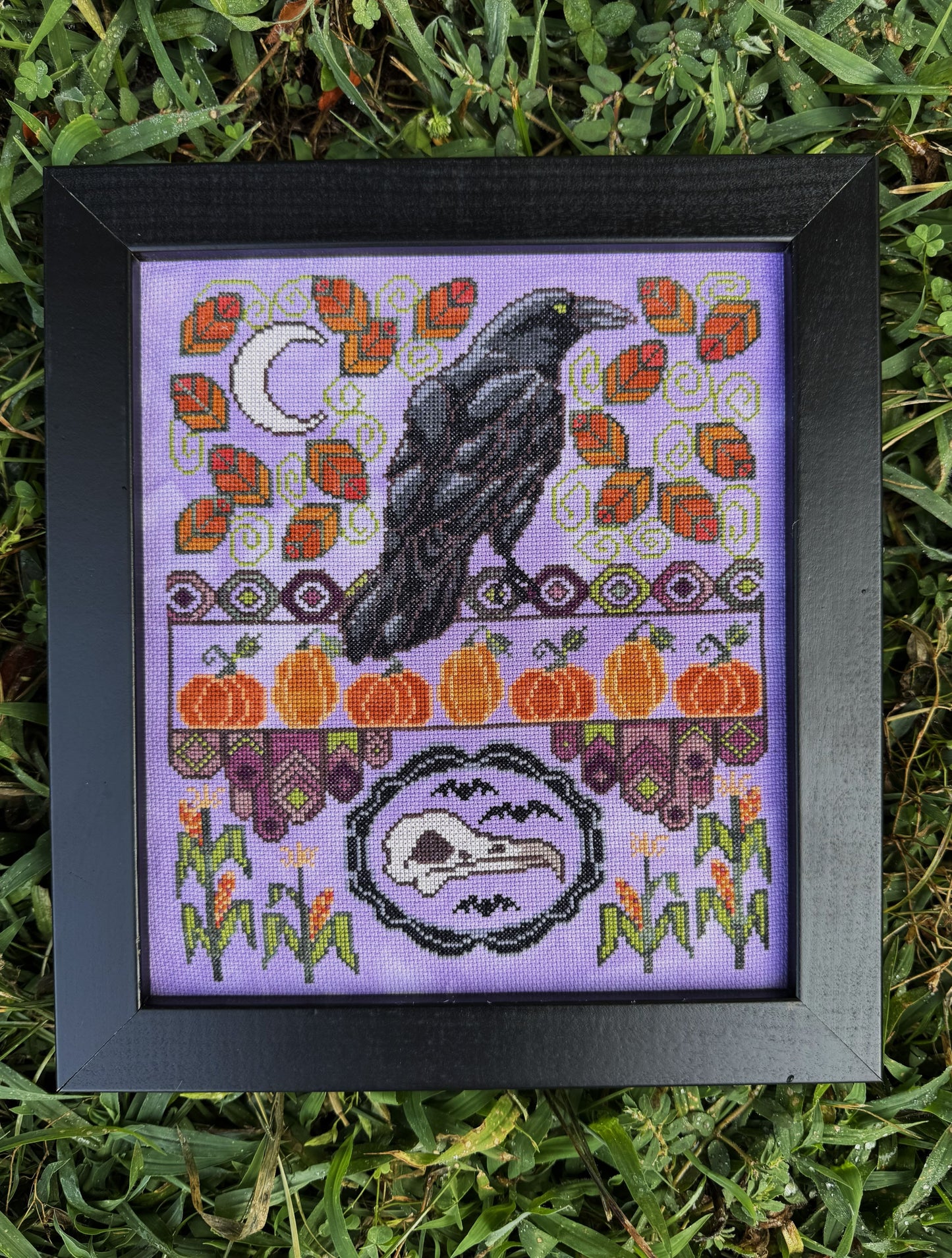 Autumn Raven